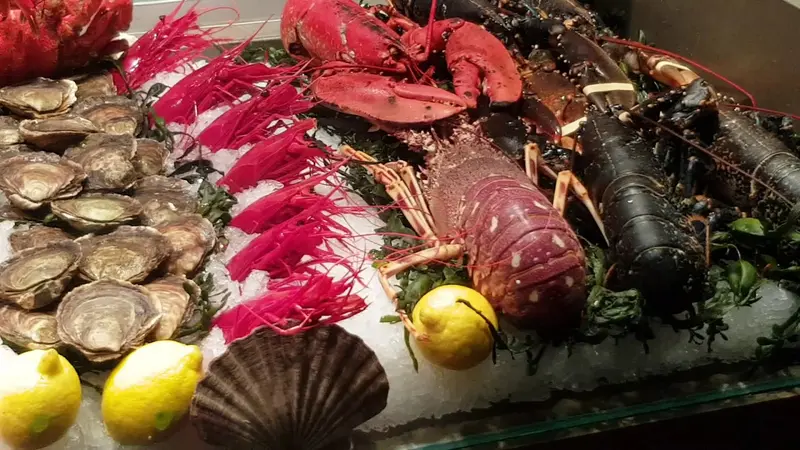 O'Pazo — foto 2