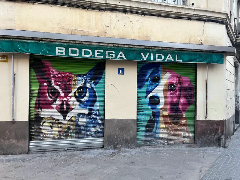 Bodega Vidal — foto 8