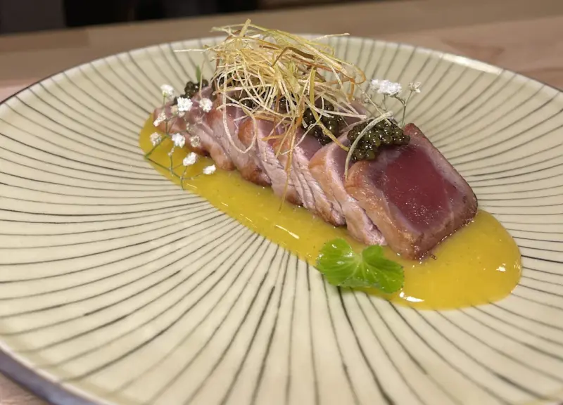 Maguro — atún tataki
