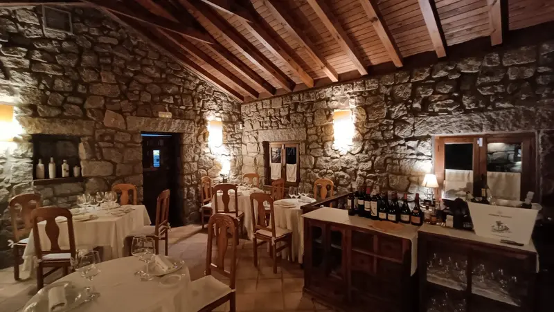 Garnacha