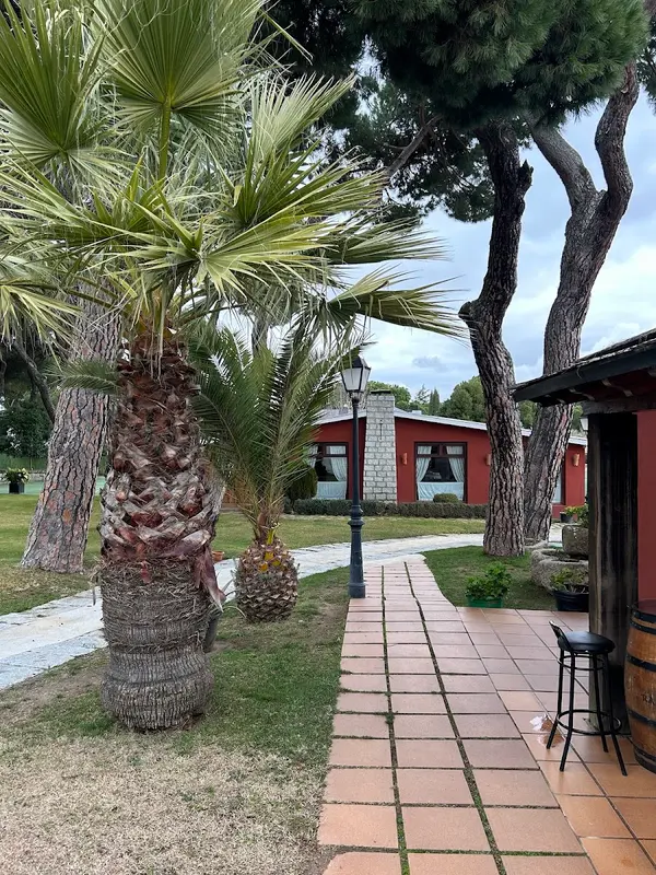 Garnacha — foto 3