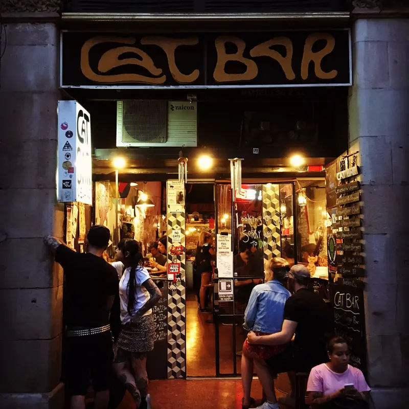 CatBar — foto 2
