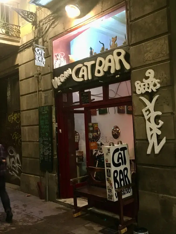 CatBar — foto 5