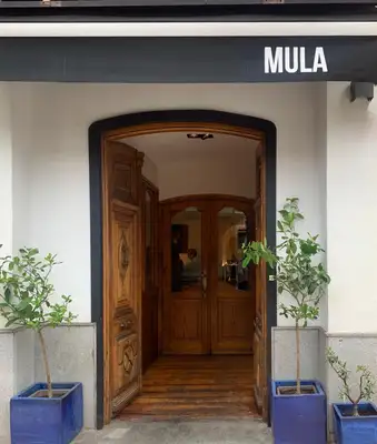 Mula