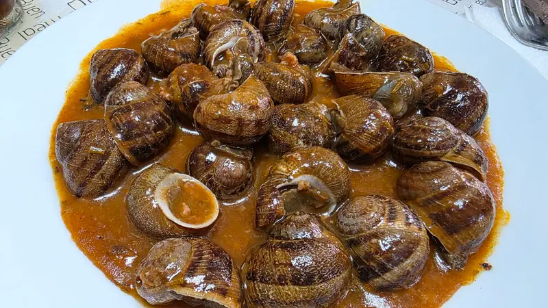 Gelida — foto 9