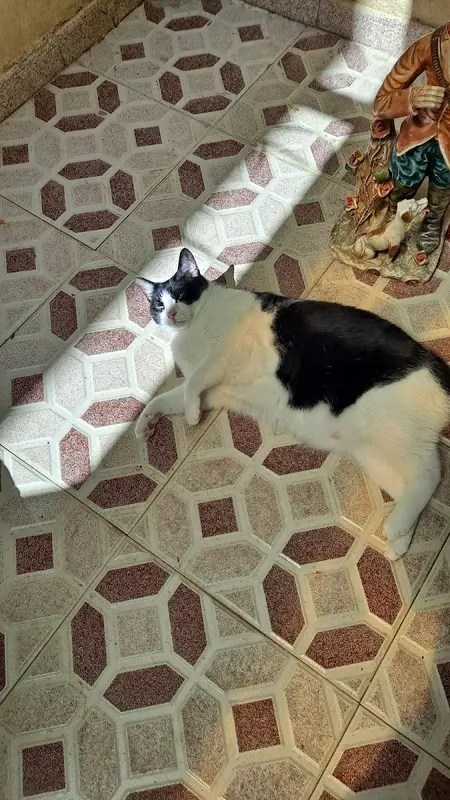 La Despensa de Laforja — foto 4